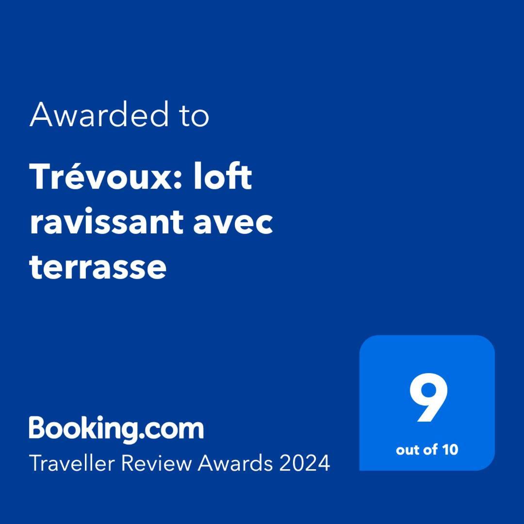 Trevoux: Loft Ravissant Avec Terrasse Apartment Ngoại thất bức ảnh